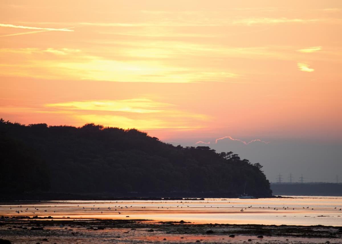 Woodside Coastal Retreat Hotel Fishbourne  Eksteriør billede